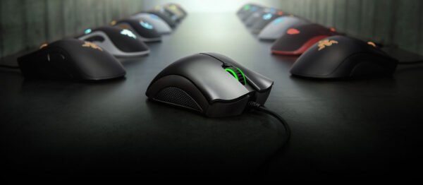 Razer DeathAdder Essential Mouse